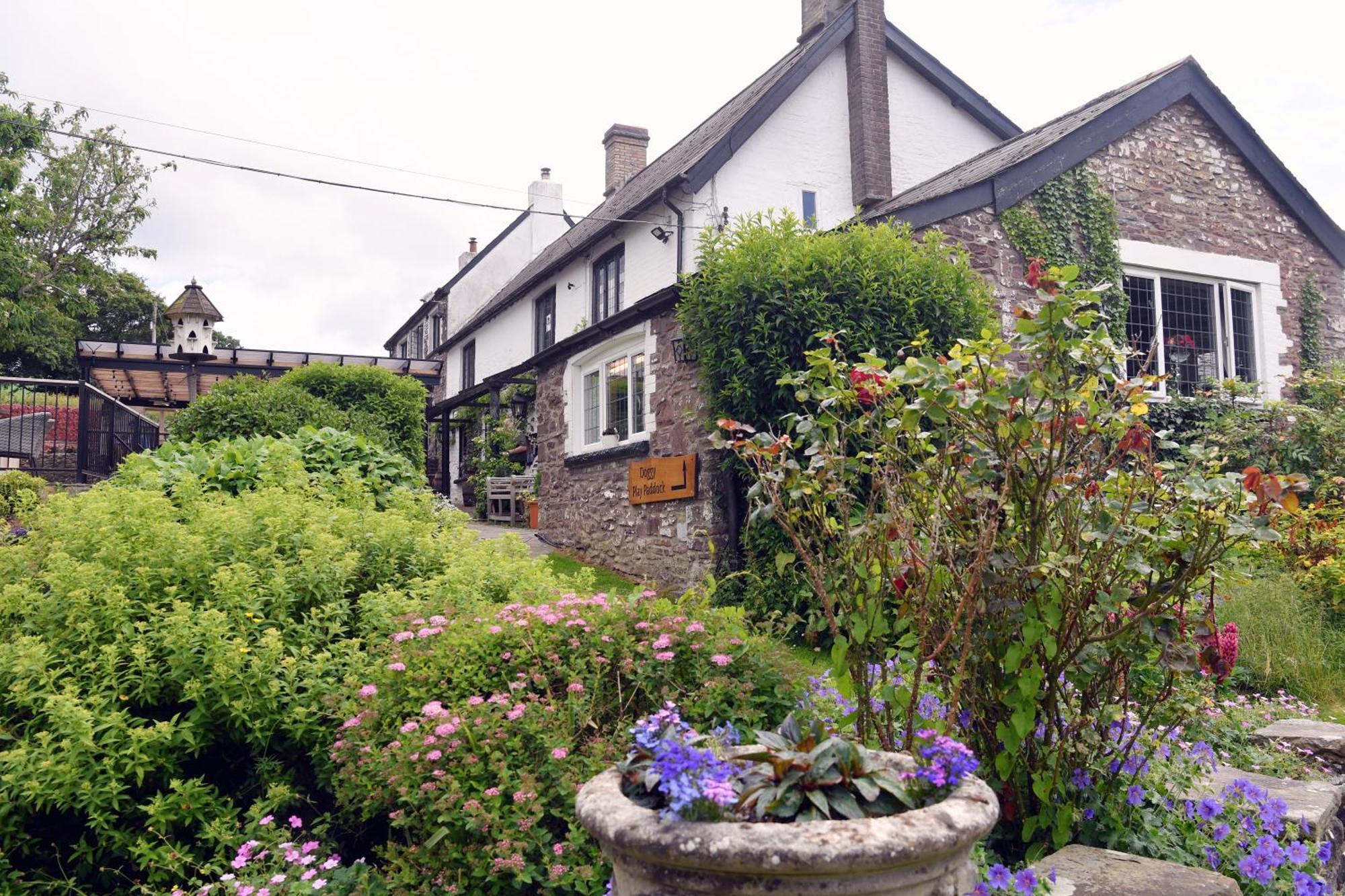 The Greyhound Inn And Hotel อัสค์ ภายนอก รูปภาพ